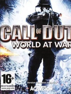 Call of Duty: World at War DS USED CARTRIDGE ONLY
