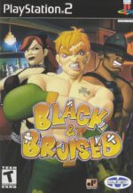 Black & Bruised PS2 USED