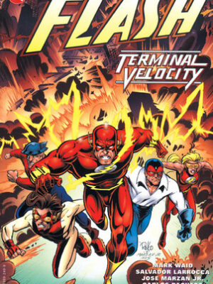 The Flash: Terminal Velocity
