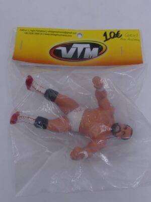WCW Arn Anderson