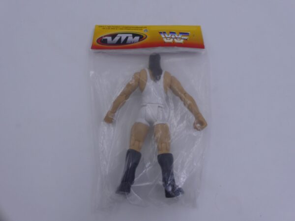 WWE Rob Van Dam - Image 2