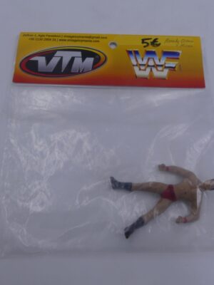 WWE Randy Orton Mini Action Figure