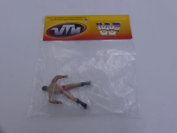 WWE Randy Orton Mini Action Figure - Image 2