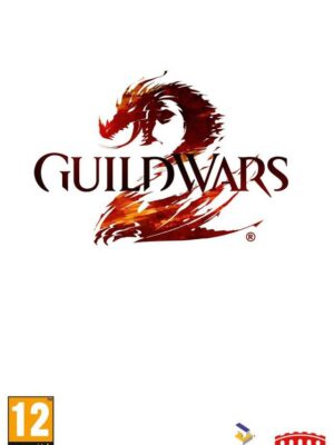 Guild Wars 2 PC USED