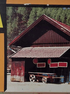 POLA N Φιγούρα Μοντελισμού  Country Type Store | N Scale | B 208